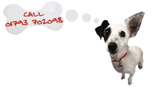 Caroles Pet Sitting Services - logo